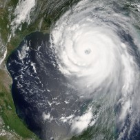 Valor Employee Survives the Storm